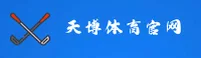 使用指南与常见问题